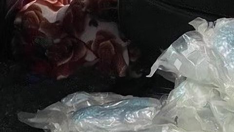 La DEA realizó el decomiso de fentanilo oculto en el tanque de combustible de un vehículo en Nueva York.