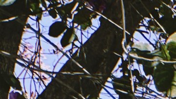 Estudiantes universitarios.