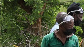 Hallazgo de cuerpos en Kenia