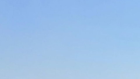 Autobús que trasladaba a 54 migrantes sufre accidente en carretera en norte de México; hay un muerto