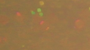 Los signos del zodiaco sentirán los efectos de Mercurio directo en Tauro.