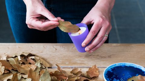 El laurel es una de las plantas más usadas en los rituales para el dinero.