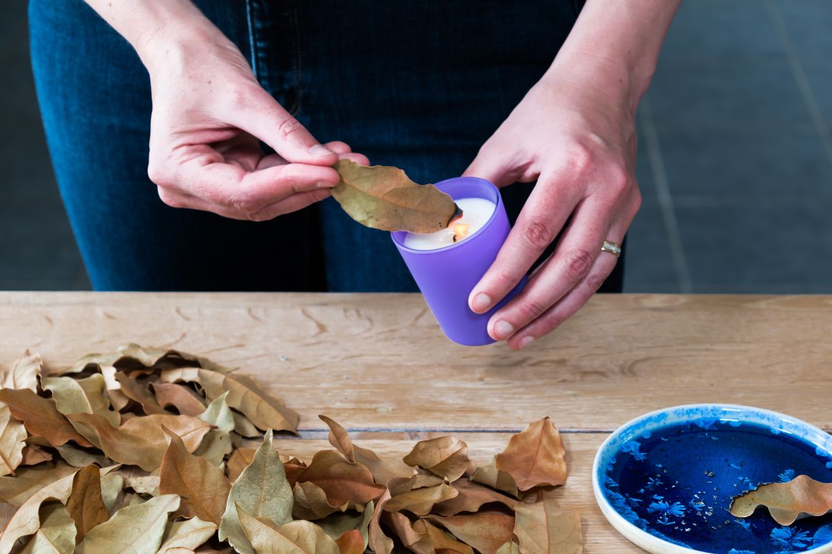 3 rituales fáciles con laurel para atraer abundancia, prosperidad y