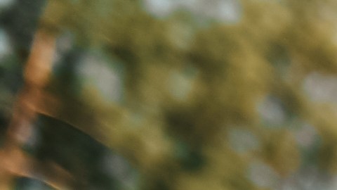 Los signos mutables del Zodiaco necesitan practicarse una limpieza energético antes del verano.