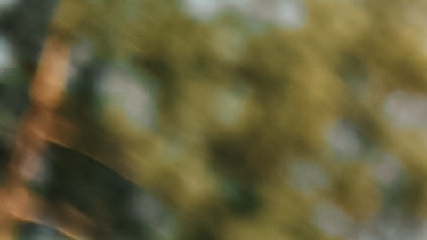 Los signos mutables del Zodiaco necesitan practicarse una limpieza energético antes del verano.