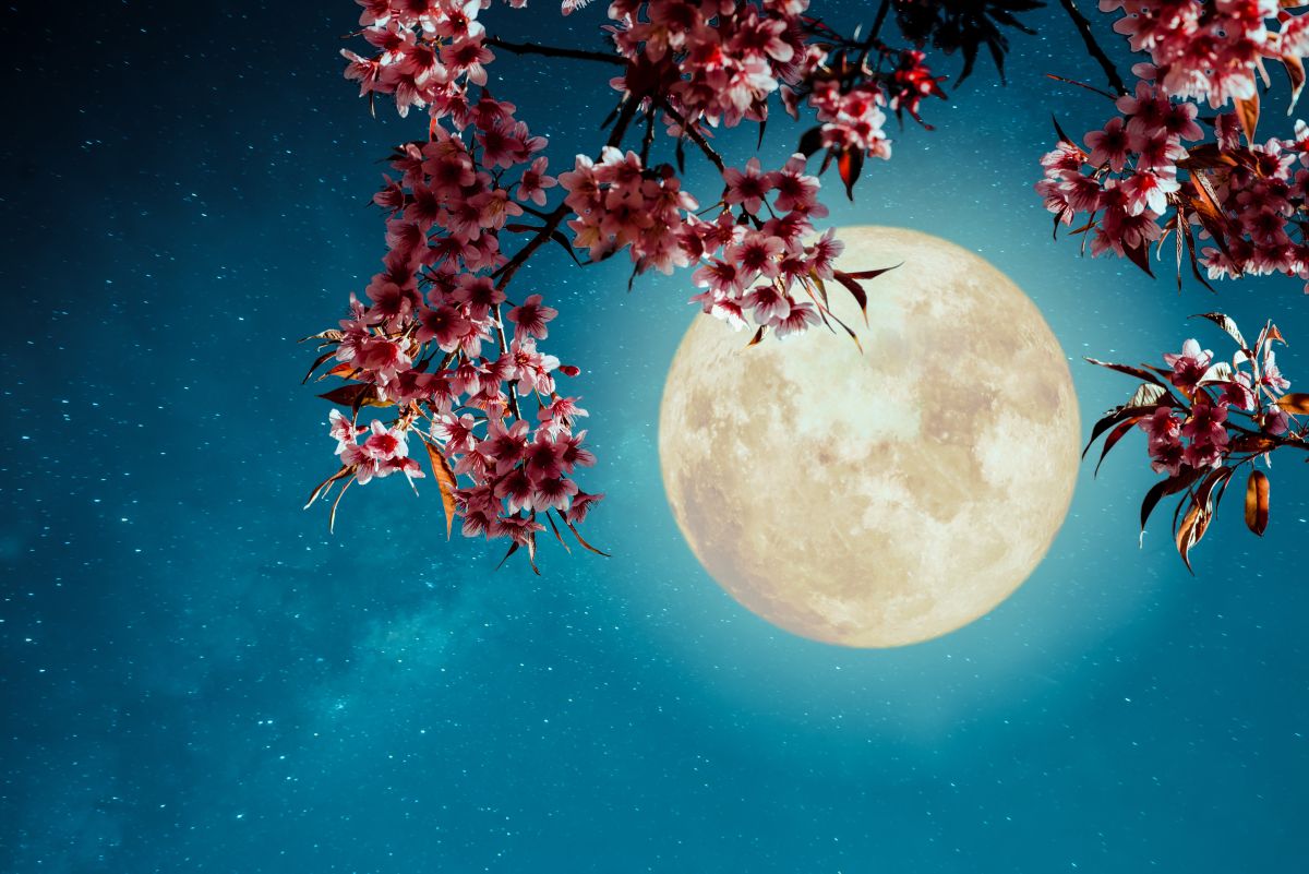 Luna llena de mayo 2023 ritual para atraer el dinero y mejorar tus