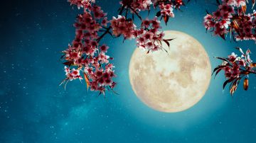 La luna llena de Flores es perfecta para hacer crecer tus finanzas.