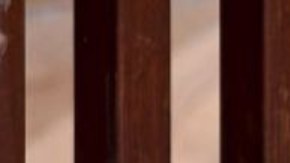 Un joven migrante hondureño murió el miércoles mientras estaba bajo custodia de EE.UU. (imagen de archivo)