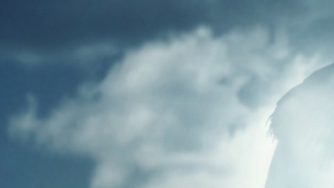 Vida después de la muerte: científicos descubren actividad del cerebro en personas en coma