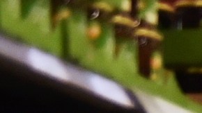 Ofertas en tiendas de Estados Unidos