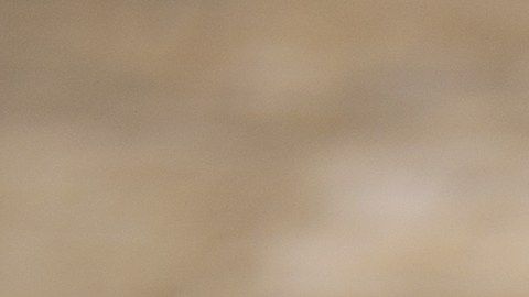 El romero tiene diversas propiedades energéticas.