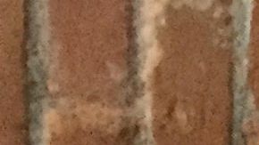 Sanjuana Martínez, autora de 13 libros con una carrera de 35 años en el periodismo. (Cortesía)