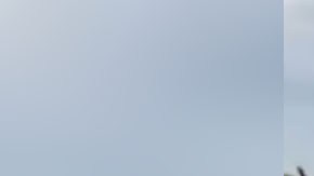 Sicario del Cártel del Golfo