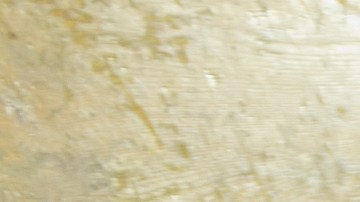 Solicitudes por desempleo