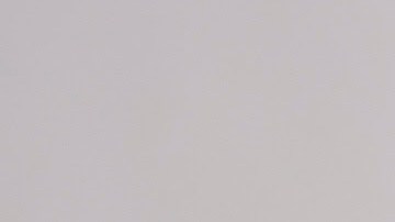 Bug Fair at the Natural History Museum of Los Angeles County. May 21, 2022.