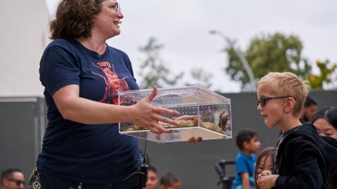 Bug Fair at the Natural History Museum of Los Angeles County. May 21, 2022.