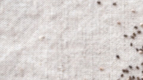 Aunque no es un ingrediente mágico, las semillas de chía pueden contribuir en mantener estables los niveles de glucosa y colesterol en la sangre