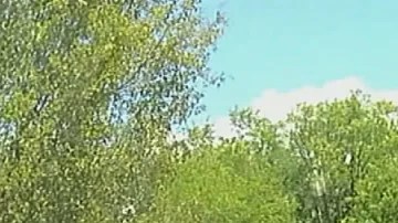 Una imagen tomada de un video publicado por la Oficina del Sheriff del Condado de York muestra la escena del tiroteo.