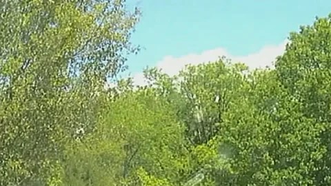 Una imagen tomada de un video publicado por la Oficina del Sheriff del Condado de York muestra la escena del tiroteo.