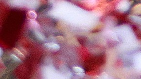 Partido de AMLO hace historia y toma control del Estado de México, el más poblado del país