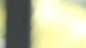 Lucero regresará a la actuación en la nueva serie 'El Gallo de Oro'