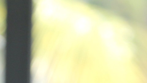 Lucero regresará a la actuación en la nueva serie 'El Gallo de Oro'