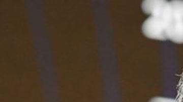 "Una guerra de China y EE.UU. sería un desastre insoportable para el mundo": la advertencia del ministro de Defensa chino en su primer discurso internacional