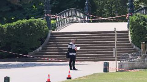 Apuñalan a 4 niños pequeños en un parque en el sur de Francia