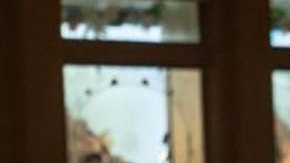 Las inquietantes imágenes del cielo naranja de Nueva York por la nube de humo proveniente de Canadá