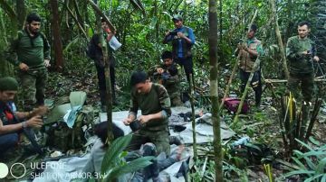 Niños desaparecidos en la selva de Colombia: la madre de los menores estuvo 4 días viva y les pidió que la dejaran, asegura el padre