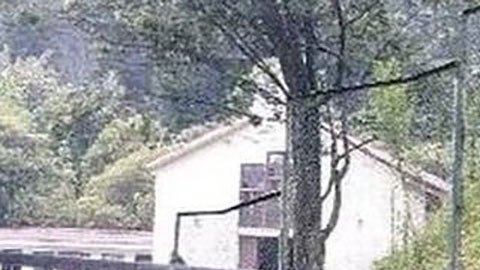 Niños desaparecidos en la selva de Colombia: Wilson, el perro rescatista que las autoridades creen que acompañó a los menores pero ahora está perdido