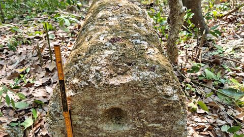 Investigadores mexicanos descubren antigua ciudad maya en Campeche, sureste del país