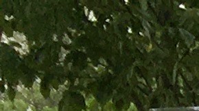 Activistas y supervivientes de tiroteos acampan fuera del Capitolio y exigen el fin de las armas de asalto