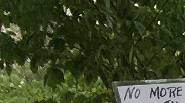 Activistas y supervivientes de tiroteos acampan fuera del Capitolio y exigen el fin de las armas de asalto