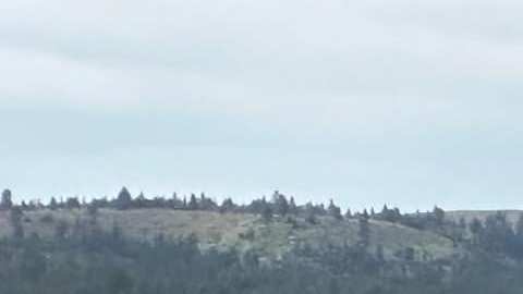 Tren que transportaba materiales perligroso se descarriló sobre el río Yellowstone en Montana