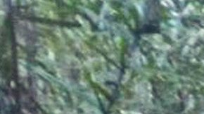 Imagen de los menores con los efectivos del ejército colombiano.