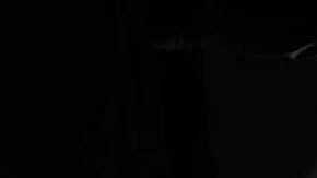 El avión que ve debajo del agua: cómo operan las naves que buscan desde el aire el sumergible Titán perdido cuando se dirigía al Titanic