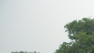 Cómo El Niño podría prolongar la inflación alimentaria