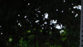 Carteles en una manifestación en Arizona: "Protejan el aborto legal y seguro".