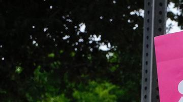 Carteles en una manifestación en Arizona: "Protejan el aborto legal y seguro".