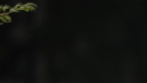 En el Día del Padre, familiares honran en la ciudad de México a papás desaparecidos