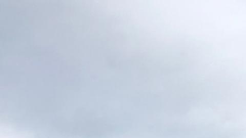 65845259_606