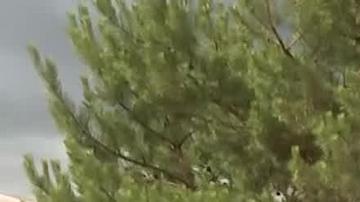 OTAN lista para defenderse de "Moscú y pide no debe subestimar a Rusia