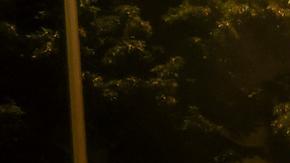 Incendios y saqueos se mantienen por tercer día de protestas en Francia