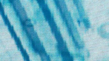 Niurka estalla contra José Manuel Figueroa | Mezcalent.