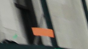 Nueva York declarada refugio para los jóvenes trans de EE.UU. durante su marcha del Orgullo