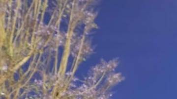 José Cristóbal Berdeja, es hijo de padres inmigrantes mexicanos.(Cortesía)