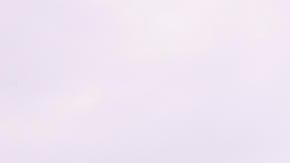 André Jardine nuevo director técnico del Club América, posa con la mascota del equipo.