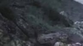 Migrantes abusados son filmados por bandas criminales que envían los videos a sus familiares exigiendo rescates.