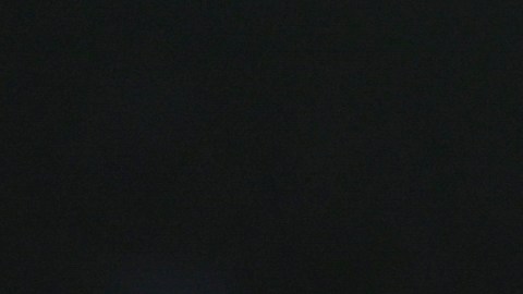 Jaime Munguía